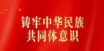 铸牢中华民族共同体意识 做好新时代党的民族工作